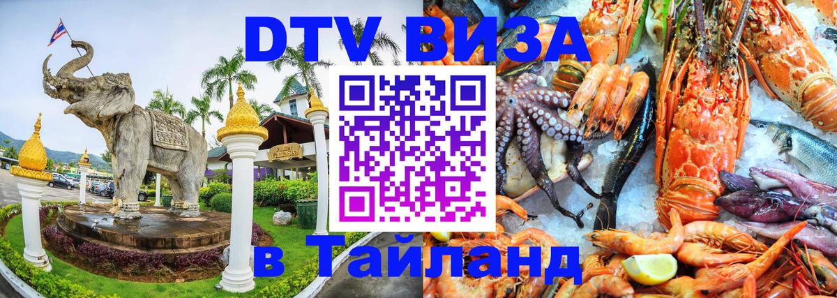 Оформление DTV визы под ключ: стоимость и тарифы, только загранпаспорт - Архангельск 